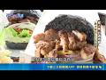 獨特烘烤手法.祕方醬料 美式漢堡擄獲饕客味蕾｜三立新聞LIVE