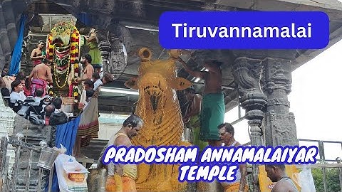 பிரதோஷ அபிஷேகம் திருவண்ணாமலை அண்ணாமலையார் கோயில் பெரிய நந்தி( 01/08/2024) - Pradosham Big Nandhi