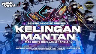 DJ KELINGAN MANTAN STYLE PARTY MENGKANE BY SENGKUNI GENK OFFICIAL