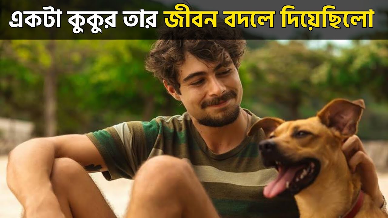 একটা কুকুর তার জীবন বদলে দিয়েছিলো || Caramelo explained in bangla || best of hollywood 