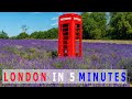 🇬🇧London walks 2023 Explore London in 5 Minutes!Mayfield the Prettiest Lavender Fields Near London