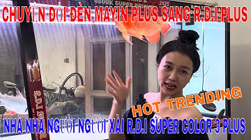 🔴HOT TREND | ĐỔI ĐÈN MAYIN SANG ĐÈN R.D.I SIÊU HOT | NHÀ NHÀ XÀI R.D.I SUPER COLOR 3 PLUS - QUÁ HOT