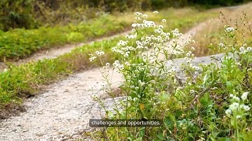 Embrace the Journey – Trust the Process & Keep Moving Forward