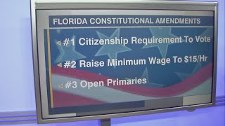 Battleground Florida: Breaking down constitutional amendments 1-3