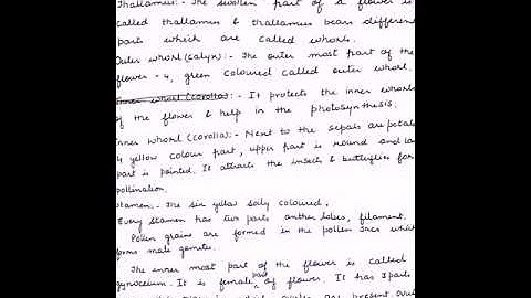 Lesson plan #5 e approach lesson plan for ignou b.ed