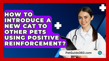 How To Introduce A New Cat To Other Pets Using Positive Reinforcement? - PetGuide360.com