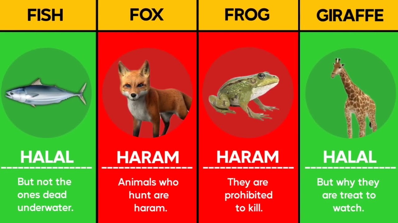 Permitted, forbidden, discouraged food of ISLAM | HALAL and HARAAM FOOD
