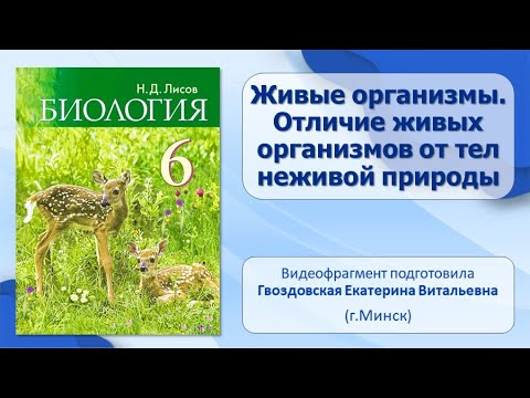 Тема 1. Живые организмы. Отличие живых организмов от тел неживой природы