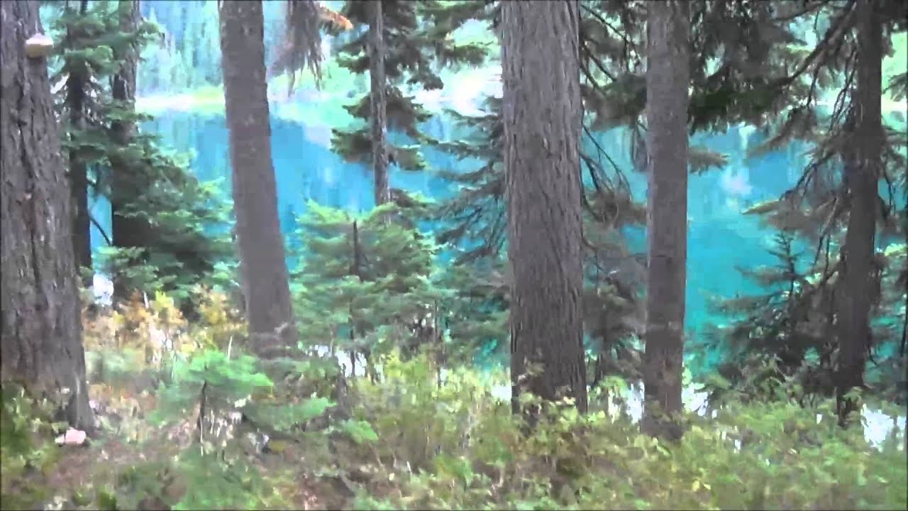 Mirror Lake Washington State Hiking YouTube