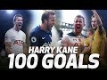 HARRY KANE'S 100 PREMIER LEAGUE GOALS