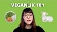 Vegan Yiyecekler: Besleyici ve Lezzetli Bir Seçim ile ilgili video