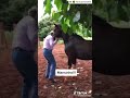 Nao morde não é manso #viral