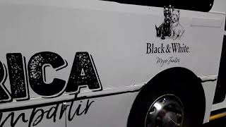 Mascarello Gran Vía Midi Volkswagen 17.230.