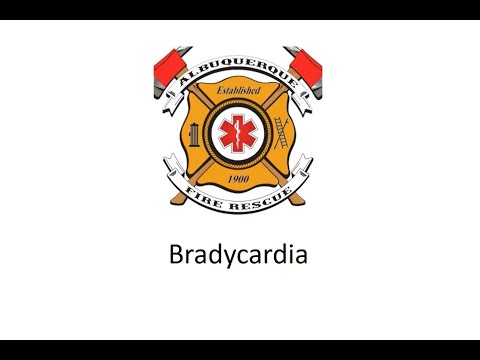 Bradycardia Training 2020 with Dr. Pruett