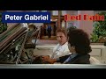 Miami Vice I Peter Gabriel I Red Rain