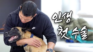 The First Release of Hospital Bill for Kang Hyeongwook's Pet Dog [Subhead: Hyeongwook's Purse]