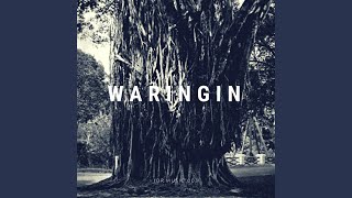 Waringin