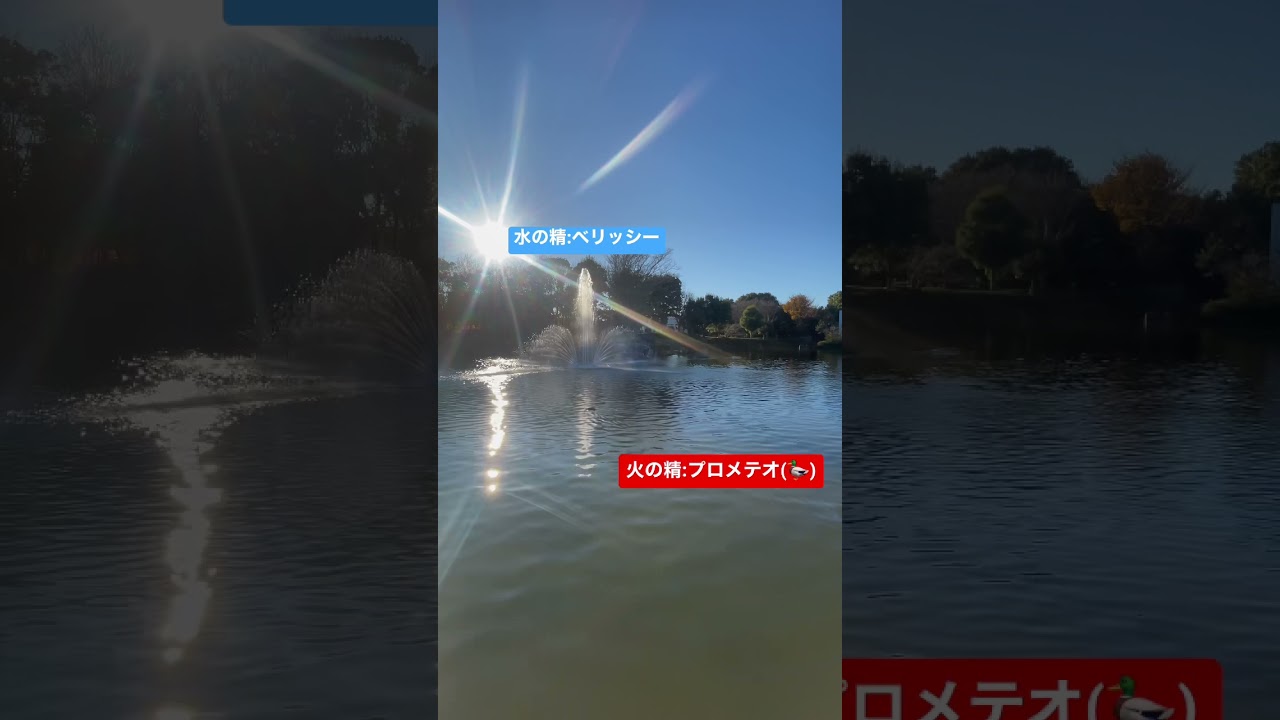 ディズニー好きにしか分からない風景 ディズニー Disney Disneysea つくば Tsukuba Shorts Youtube ディズニー好きにしか分からない風景 ディズニー Disney Disneysea つくば Tsukuba Shorts Youtube