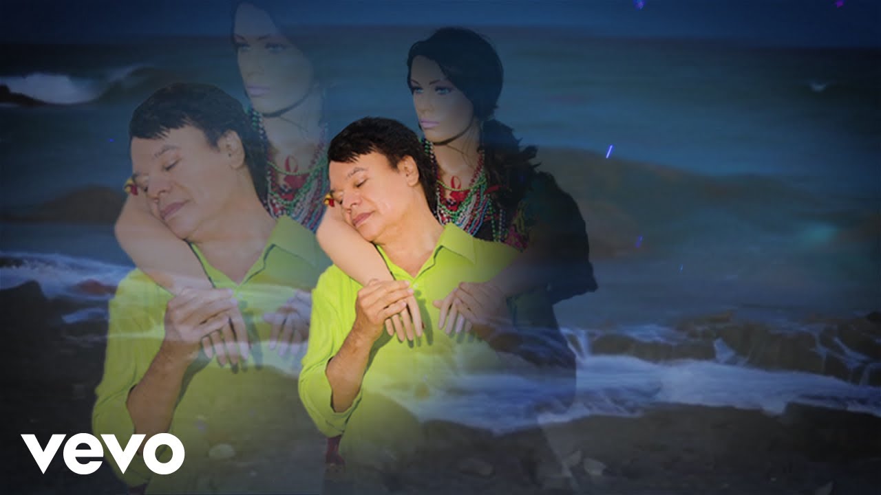 Juan Gabriel, Joy - Hasta Que Te Conocí (Visualizer)