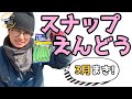 【スナップエンドウ種まき】3月まき 秋まきに間に合わなかったスナップエンドウを春まきします