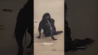 Wait The End 😂😂😂 27Q #shorts #fail #funnyshorts #starword