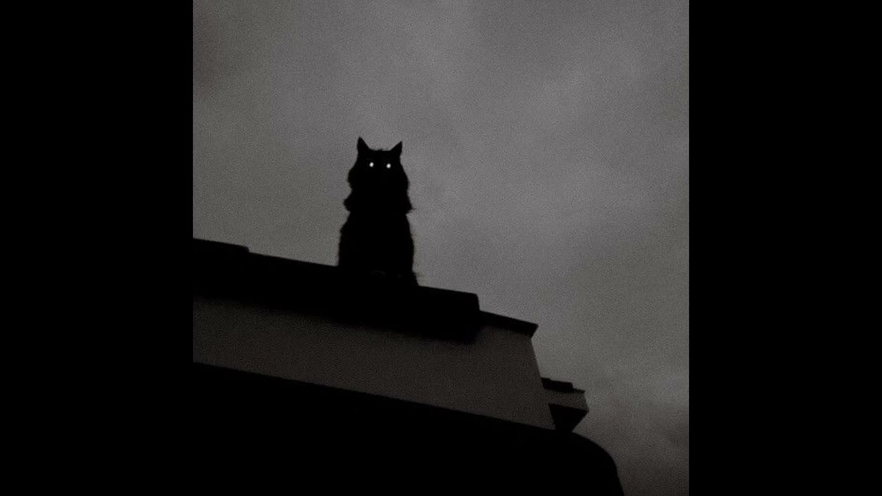 [FREE] Future Type Beat  (HARD) - 