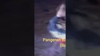 Pangeran Bandung Bondowoso Itu Sakti Dan Tampan Mahluk Halus Pun Takluk Film Lara Jongrang