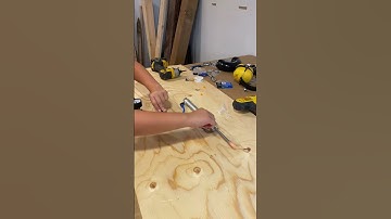 Creating a prototype for automatic cat feeder