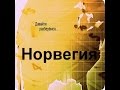 Работа в Норвегии. Давайте разберёмся...