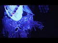 Miniature de la vidéo de la chanson Bluish