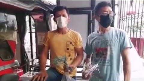 honda tmx 125 alpha power up with one relay set up + installation of domino switch version 2