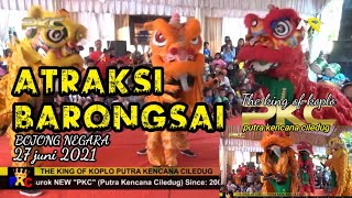 LANANG COBRA ( DIANA SASTRA ) BUROK PKC ~ LIVE BOJONG NEGARA 27 JUNI 2021 @PKC