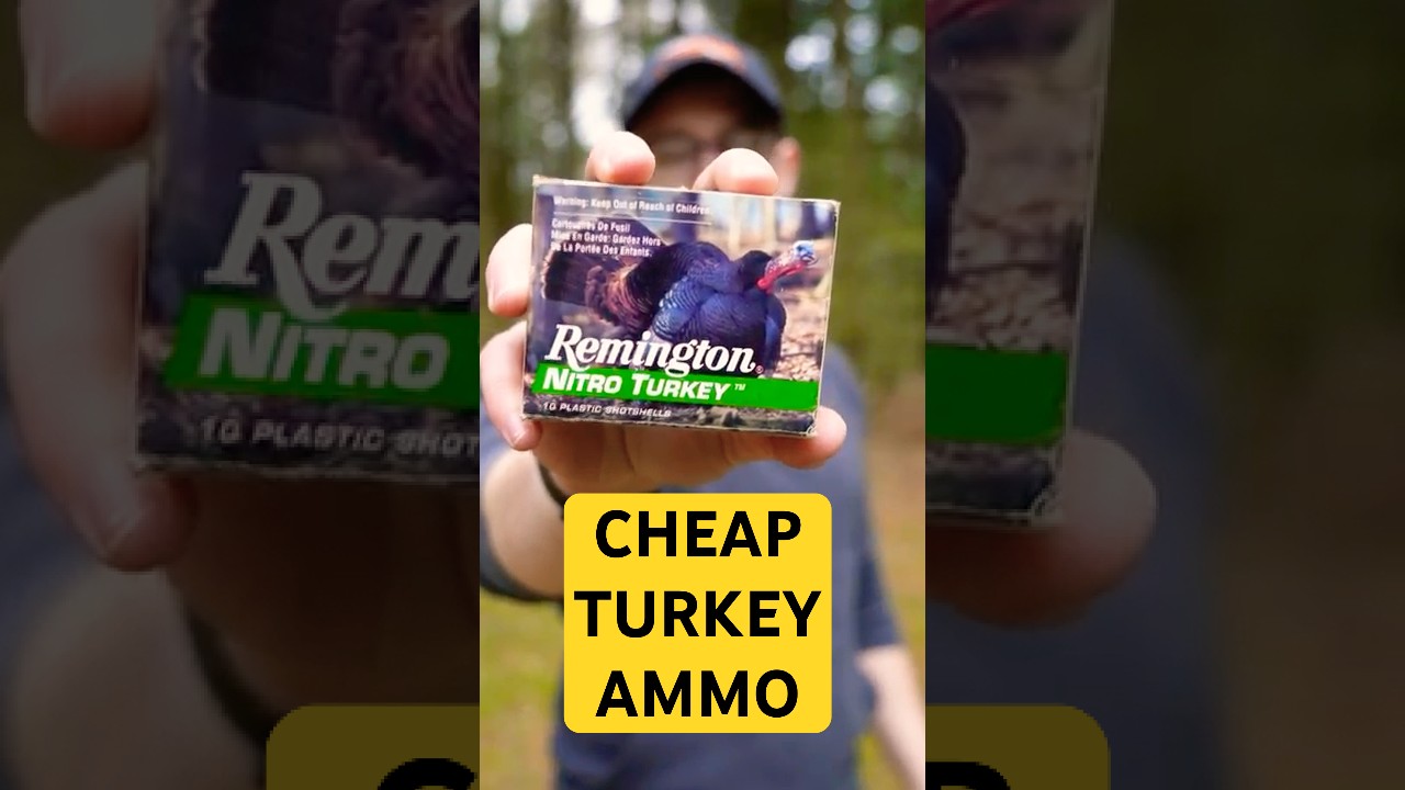 $1 Turkey Shell at 40 Yards – Does It Work?