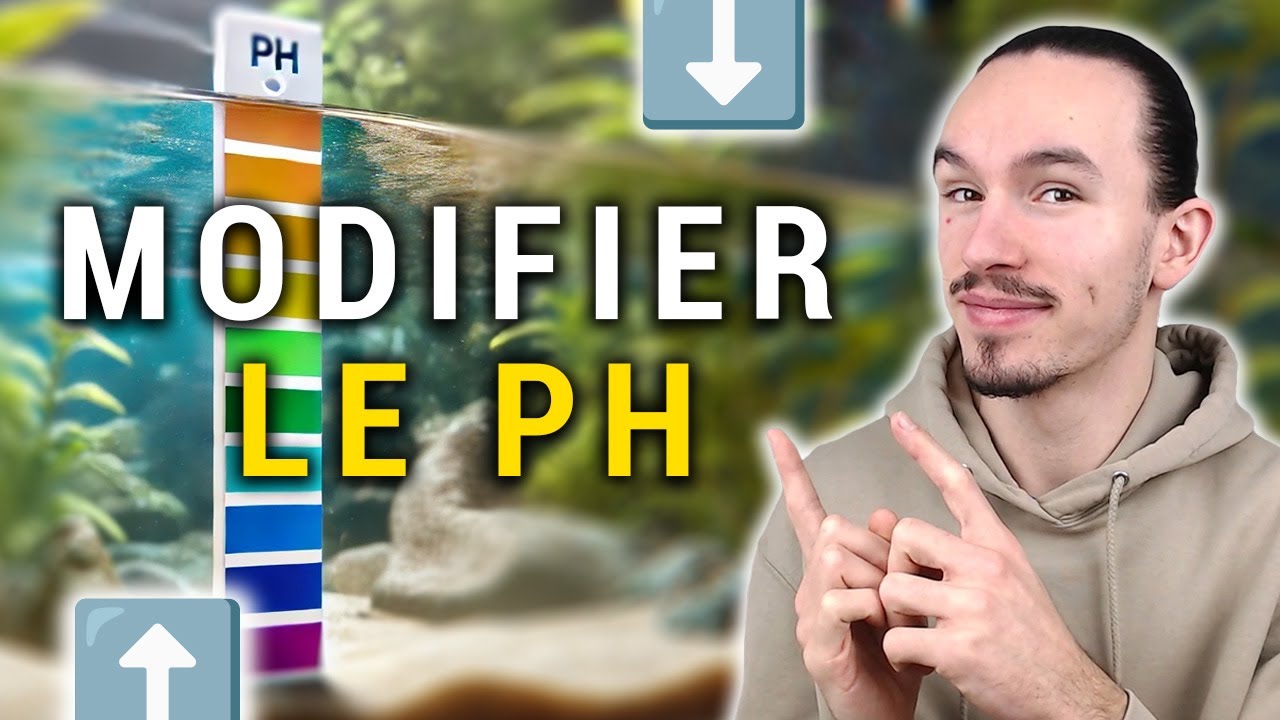 Comment faire BAISSER / MONTER le pH en AQUARIUM D'EAU DOUCE