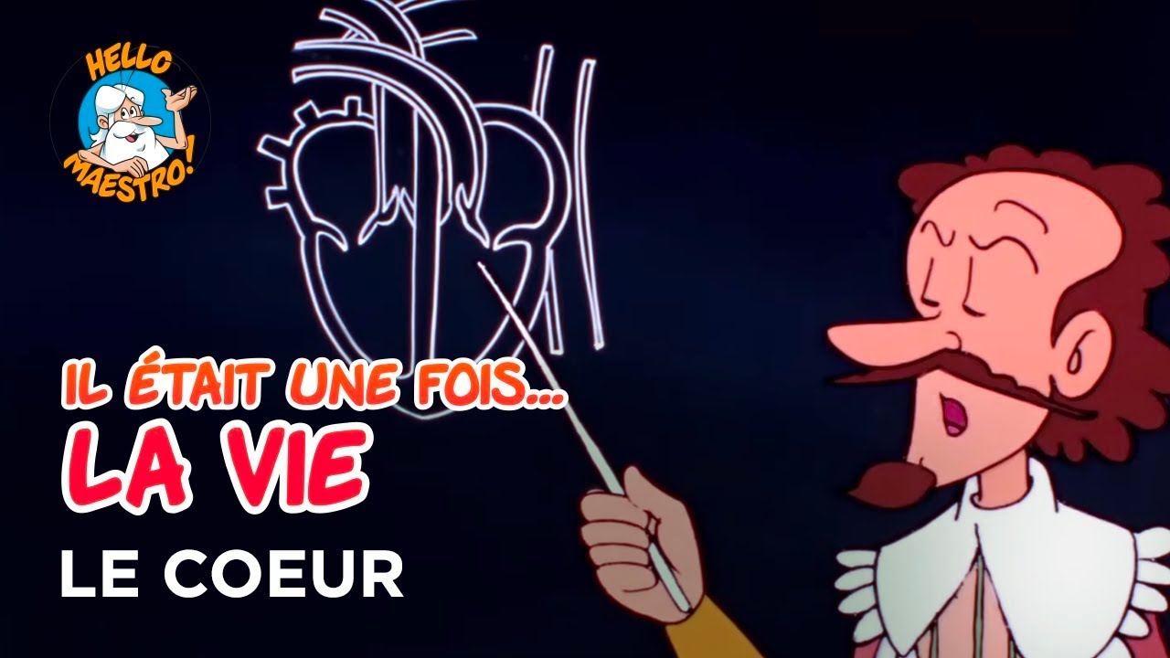 Il était une fois... la Vie 🌱- Le cœur ❤️