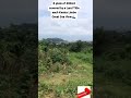 Land For Sale In Buea Tiko Kumba Limbe South West Region Of Cameroon 677109925 