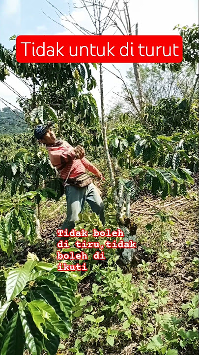 jangan di tiru