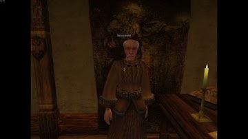 Linux Gaming (Fedora 42) The Elder Scrolls III: Morrowind® Game of the Year Edition