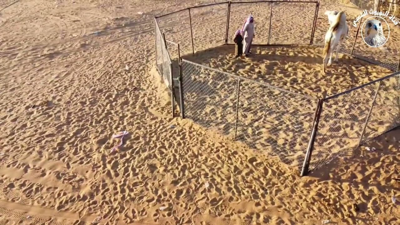 عزبة الاخ هفتان بن سالم الصيعري واخوانه