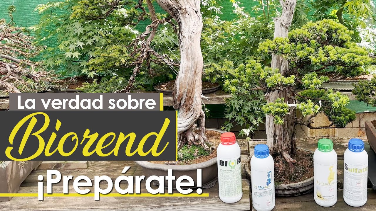 La verdad sobre Biorend. ¡Prepárate!