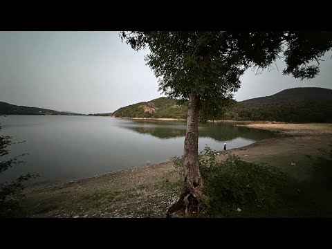 საღამოს თევზაობა ალგეთზე, ქორჭილა | Evening Perch Fishing at Algeti | 4K