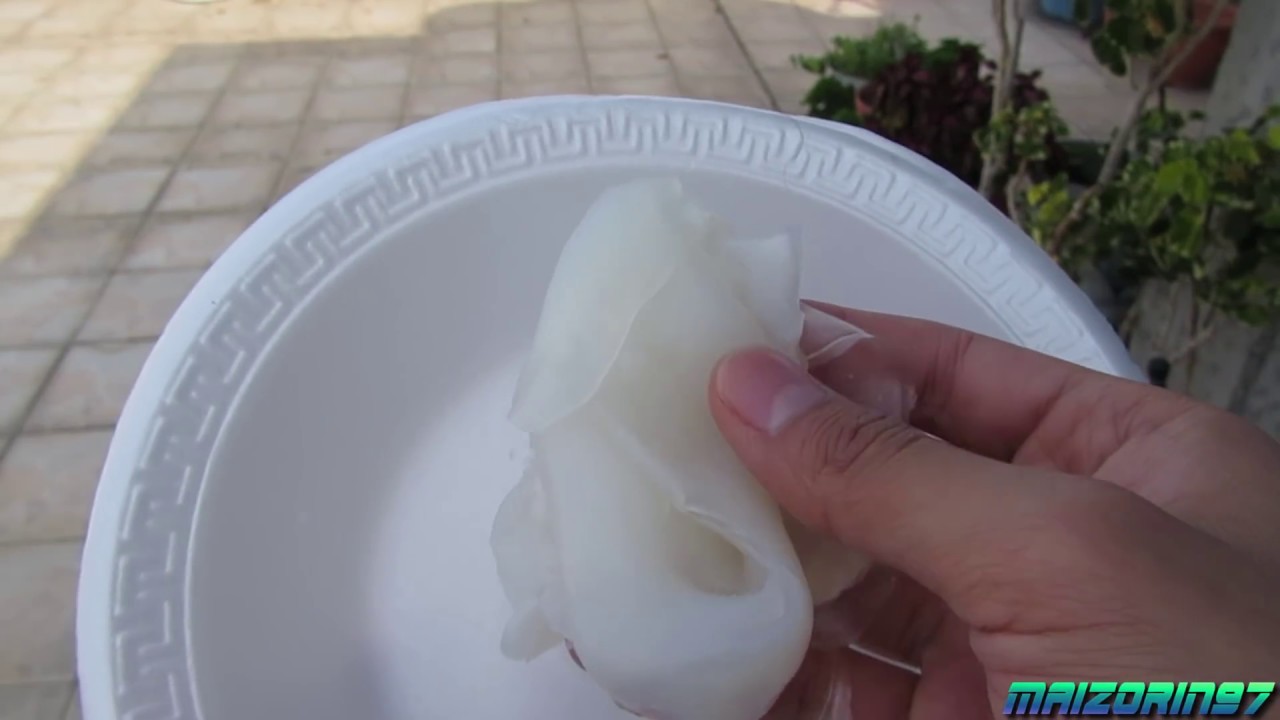 🌿 Bioplástico de fécula de maíz 🌽 casero