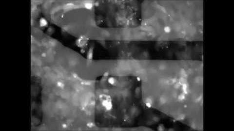 Scientific Reports : An organic transistor-based system for reference-less electrophysiological...