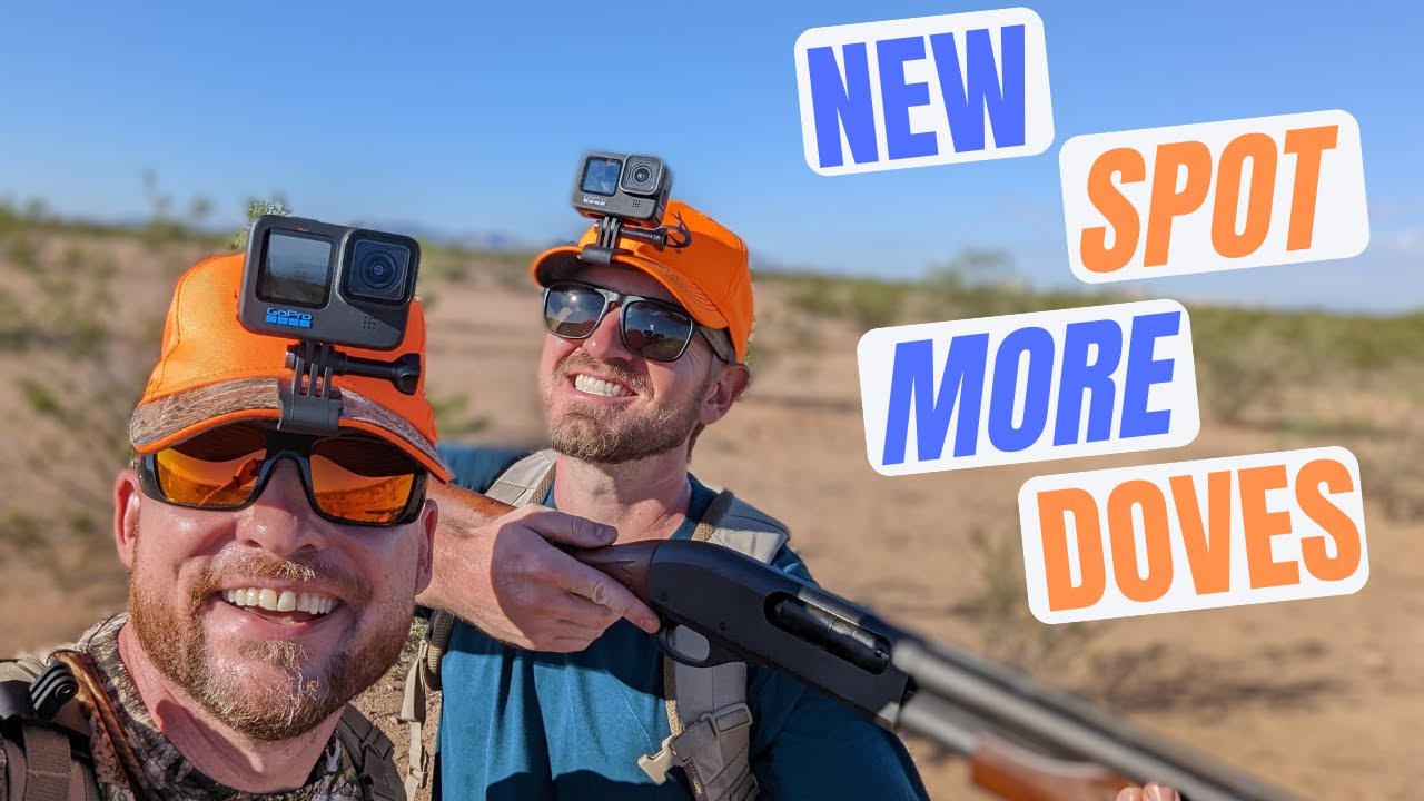 Dove Hunting Season Arizona New Spot YouTube