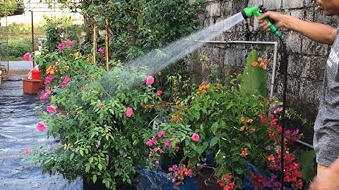 Bộ vòi xịt nước tưới cây, rửa xe đa năng phun 7 chế độ cực dễ, tiện lợi - Hướng dẫn sử dụng