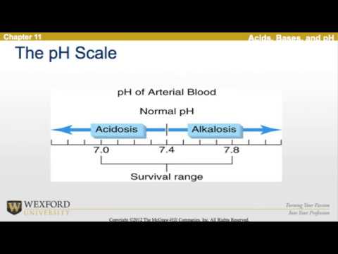 maintaining-acid-base-balance-during-exercise