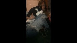 Angry Cat Hits Her Owner (Slow Motion)
