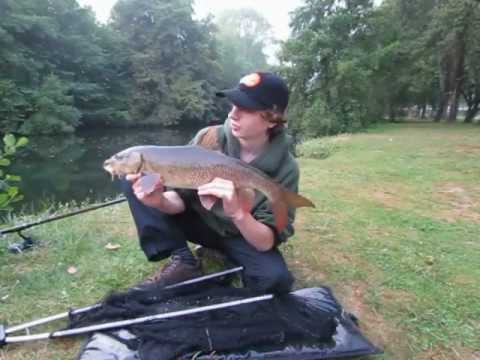 River carp and Barbel fishing (video 57) 