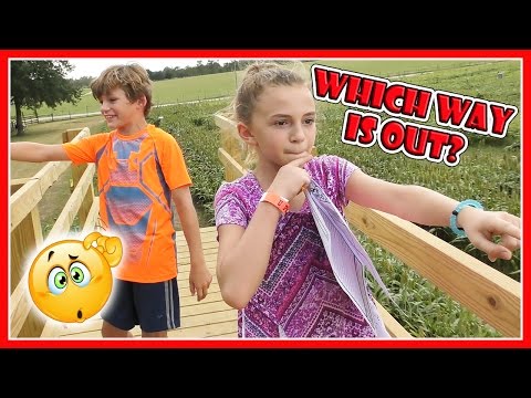 WE GOT LOST IN A CORN MAZE! | WHAT HAPPENS TO MOM? | We Are The Davises