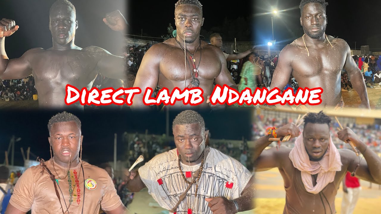 Direct lamb ndangane le 07 décembre 2025